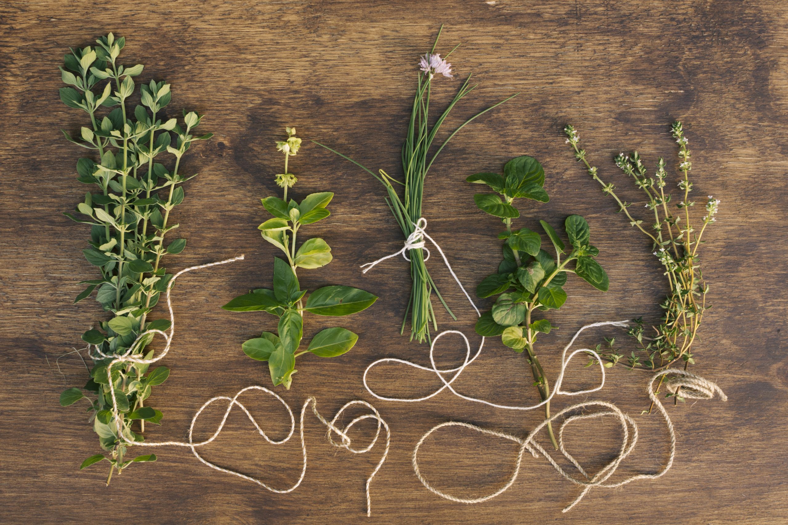 Herbal support for a microbial reset and gut health