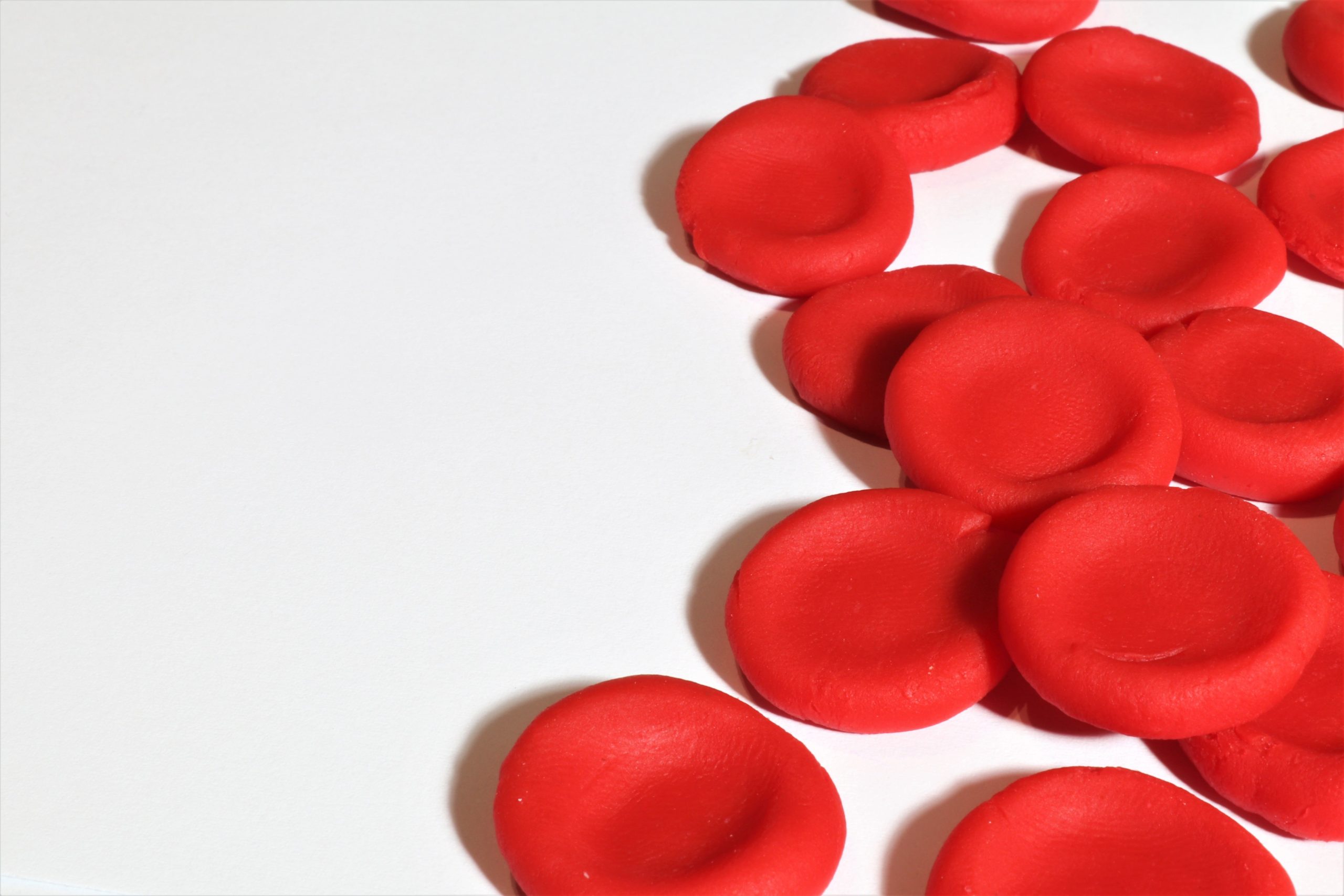 Red blood cells on a white background. Article is discussing sublingual iron supplements.