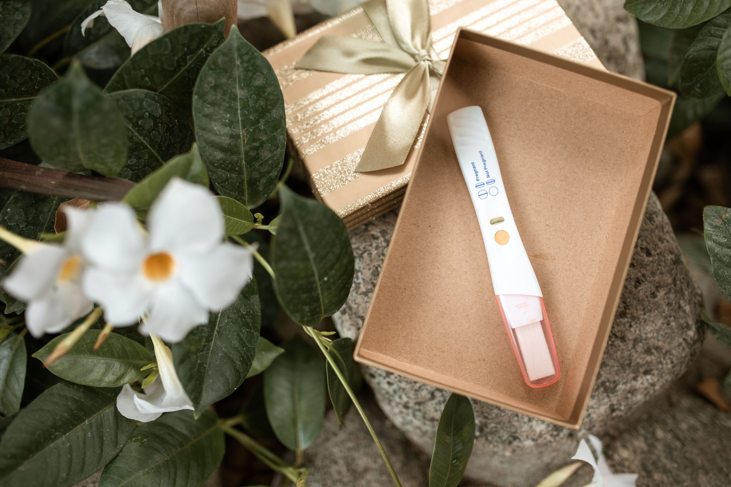 Fertility test timing by cycle day, showing when to schedule ultrasound, HSG, AMH, and day 3 FSH and estradiol